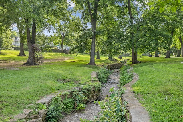 2020 Beech Ave Unit B13, Nashville, TN 37204 - view of green lawn
