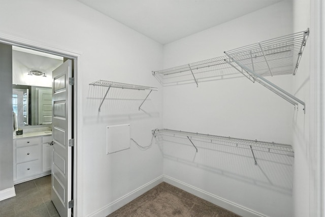 1000 Vintage Green Ln Unit 1201, Franklin, TN 37064 - view of spacious closet