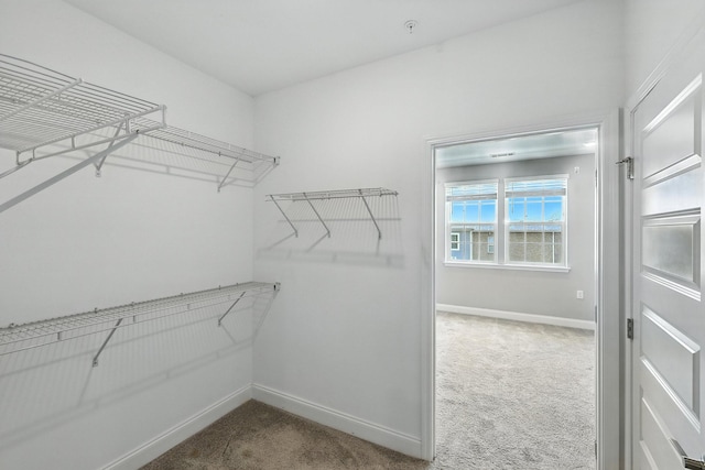 1000 Vintage Green Ln Unit 1201, Franklin, TN 37064 - walk in closet with carpet