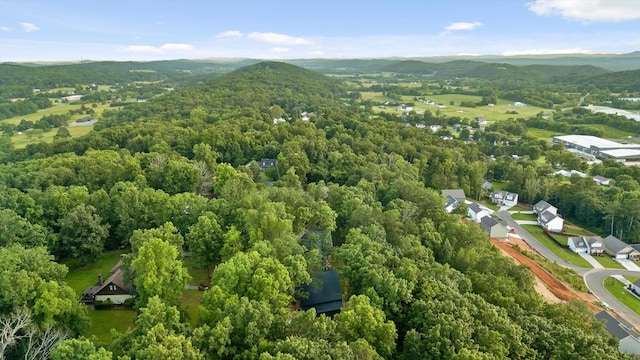 263 Eleanor Dr SW, Cleveland, TN 37311 - bird's eye view of a heavily wooded area