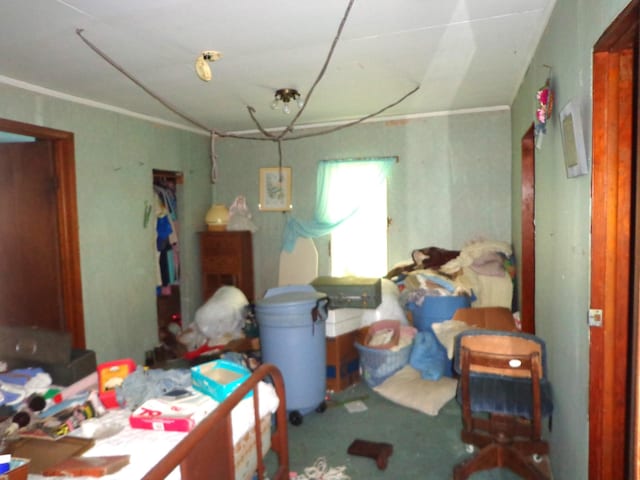 2625 Old Blacktop Rd, Mc Ewen, TN 37101 - view of carpeted bedroom