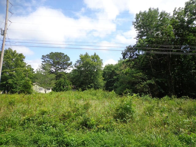 2625 Old Blacktop Rd, Mc Ewen, TN 37101 - view of nature