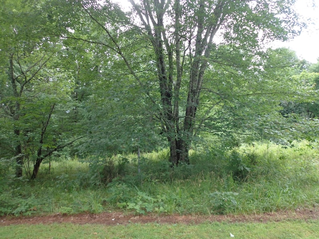2625 Old Blacktop Rd, Mc Ewen, TN 37101 - view of woods