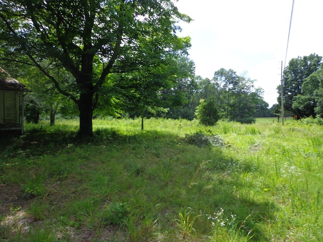 2625 Old Blacktop Rd, Mc Ewen, TN 37101 - view of nature