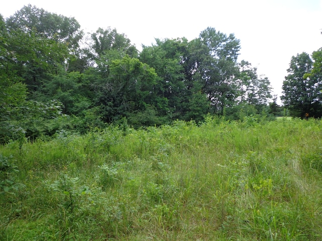 2625 Old Blacktop Rd, Mc Ewen, TN 37101 - view of nature
