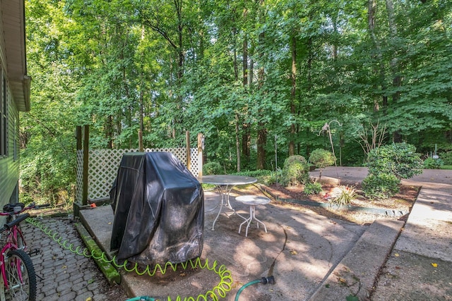 237 Woodmaker Ct, Nashville, TN 37214 - view of patio / terrace featuring area for grilling