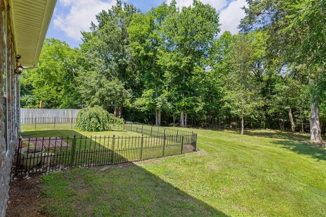 1057 Nealcrest Cir, Spring Hill, TN 37174 - view of yard