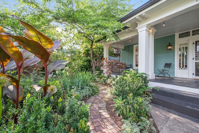1815 Lillian St, Nashville, TN 37206 - photo 2