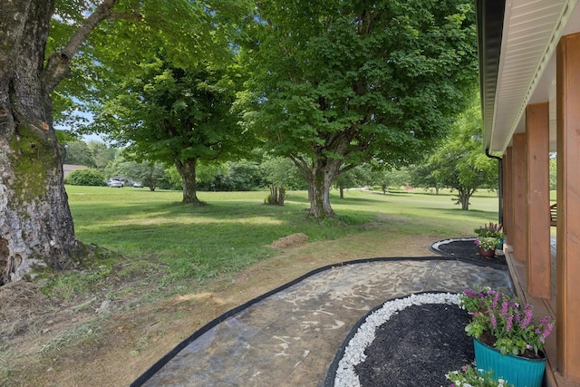1237 Abiff Rd, Bon Aqua, TN 37025 - view of green lawn with a patio area