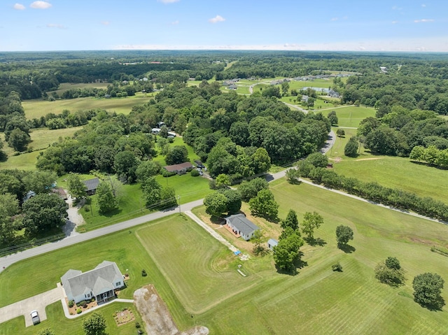 1237 Abiff Rd, Bon Aqua, TN 37025 - aerial view