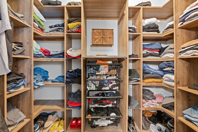 2957 Stewart Campbell Pt, Spring Hill, TN 37174 - spacious closet featuring carpet flooring