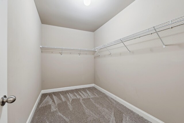 4592 Sawmill Pl, Nolensville, TN 37135 - photo 54
