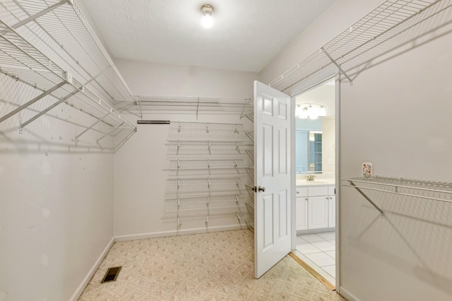 822 Old Jefferson Pike, Smyrna, TN 37167 - walk in closet featuring a sink