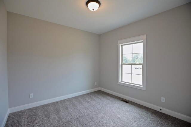 128 Bloomsbury Dr, Portland, TN 37148 - photo 60