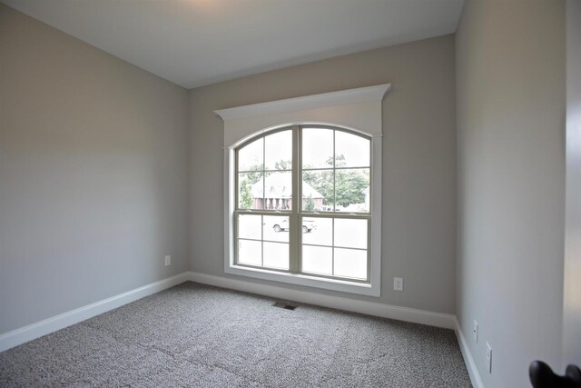 128 Bloomsbury Dr, Portland, TN 37148 - photo 59