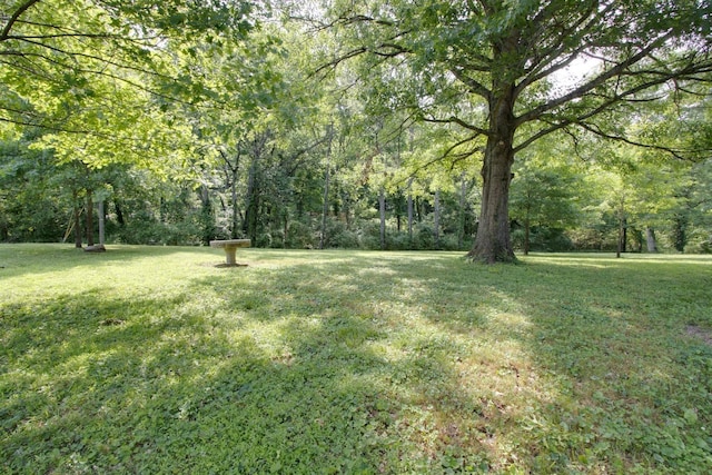 414 Munn Rd, Nashville, TN 37214