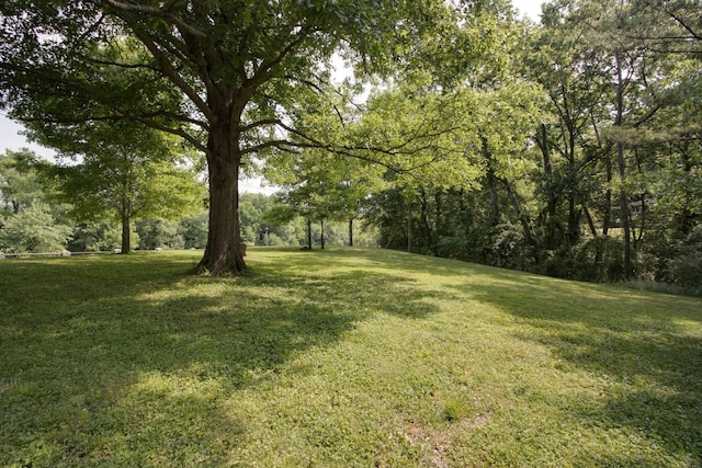 414 Munn Rd, Nashville, TN 37214
