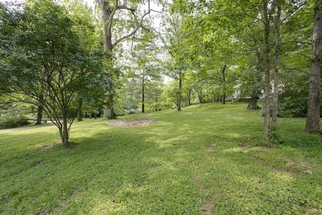 414 Munn Rd, Nashville, TN 37214