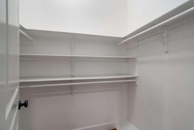 162 Woodmont Blvd, Nashville, TN 37205 - view of spacious closet