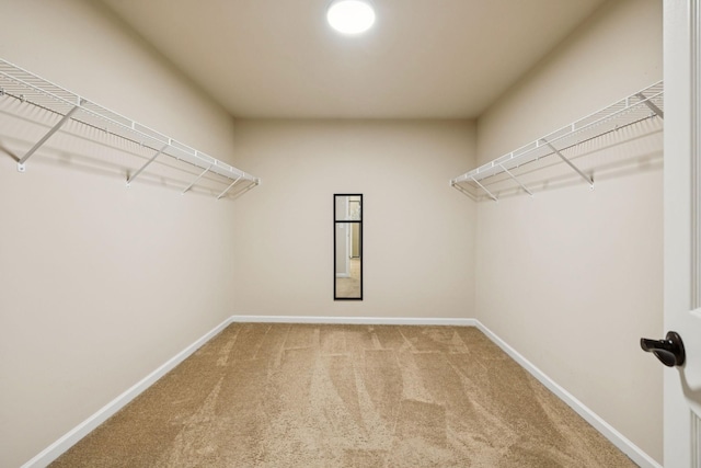 1107 Pickett Rd, Lebanon, TN 37087 - photo 25