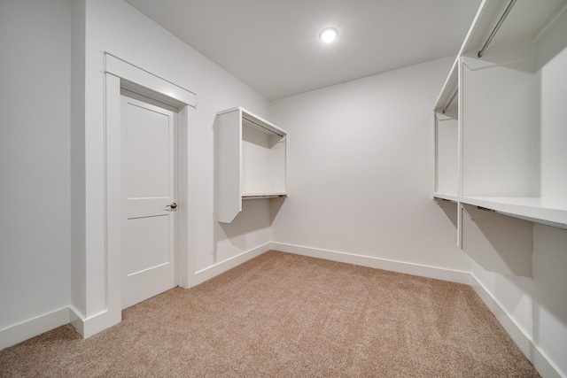 7266 Fairlawn Dr, Fairview, TN 37062 - walk in closet with light carpet