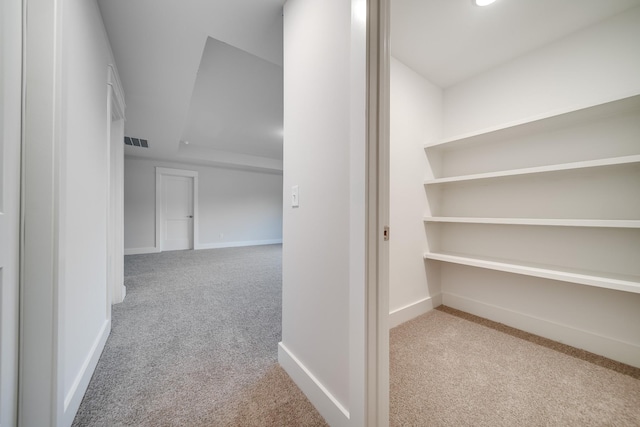 7266 Fairlawn Dr, Fairview, TN 37062 - hall with carpet and baseboards