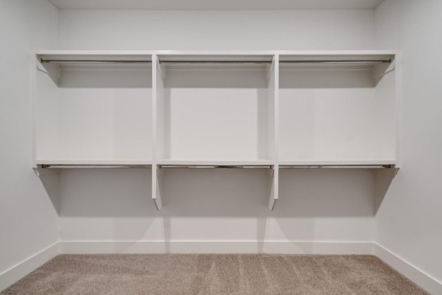 7266 Fairlawn Dr, Fairview, TN 37062 - walk in closet featuring carpet