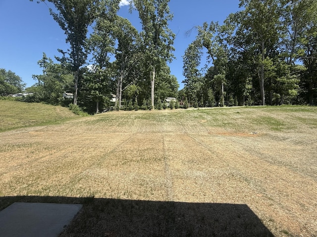 7233 Richvale Dr W, Fairview, TN 37062 - view of yard