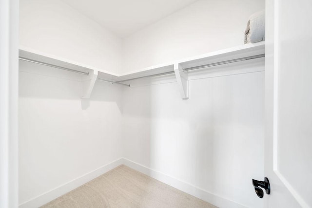 7428 Twill Heights Loop W, Fairview, TN 37062 - spacious closet featuring carpet floors