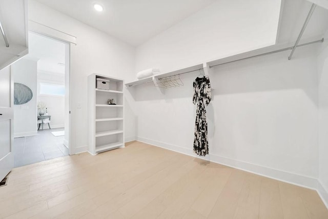 7428 Twill Heights Loop W, Fairview, TN 37062 - walk in closet with light wood finished floors