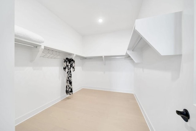 7428 Twill Heights Loop W, Fairview, TN 37062 - walk in closet featuring light wood-style floors