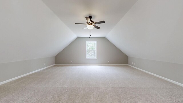 307 Ledgeview Dr, Shelbyville, TN 37160 - photo 36