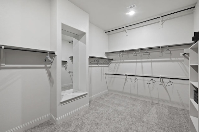 7261 Fairlawn Dr, Fairview, TN 37062 - spacious closet featuring light carpet