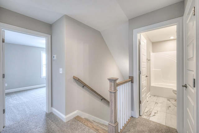 420 Sophie Hill Ct, Murfreesboro, TN 37128 - photo 37