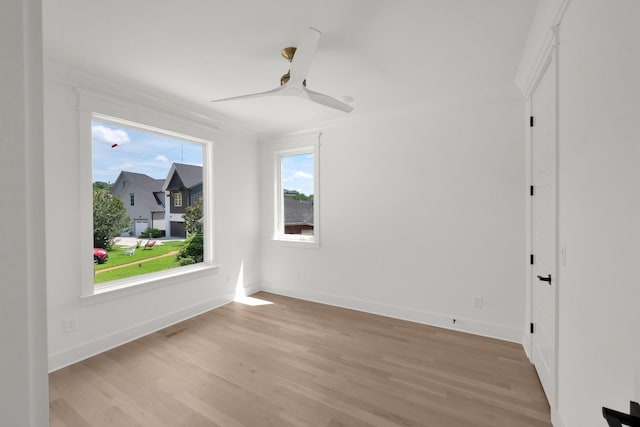 603A Freedom Ct, Nashville, TN 37209 - photo 6