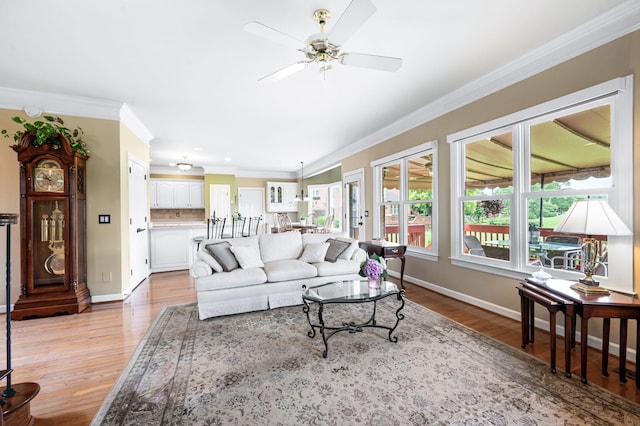 395 Glendower Pl, Franklin, TN 37064 - living area featuring ceiling fan, light wood finished floors, and ornamental molding