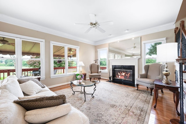 395 Glendower Pl, Franklin, TN 37064 - living area featuring a ceiling fan, ornamental molding, wood finished floors, and a fireplace with flush hearth