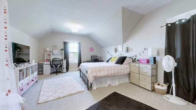 257 Hutch Ct, Gallatin, TN 37066 - photo 28