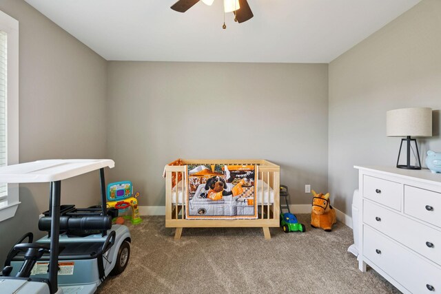 375 W Old Alexandria Rd, Watertown, TN 37184 - photo 29