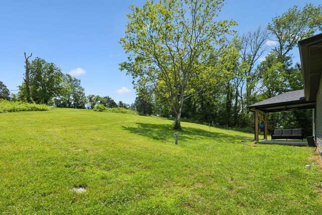 375 W Old Alexandria Rd, Watertown, TN 37184 - photo 44