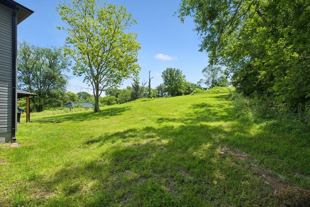 375 W Old Alexandria Rd, Watertown, TN 37184 - photo 43