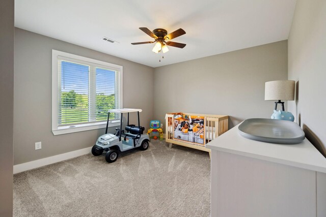 375 W Old Alexandria Rd, Watertown, TN 37184 - photo 28