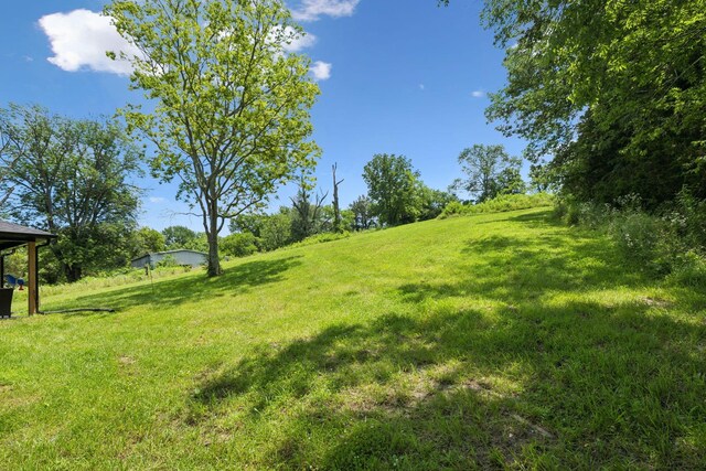 375 W Old Alexandria Rd, Watertown, TN 37184 - photo 42