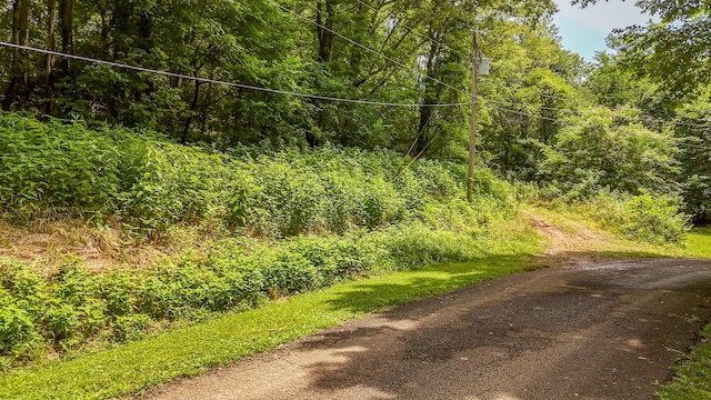 0 Salt Ln, Savannah, TN 38372 - photo 4