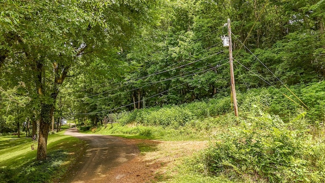 0 Salt Ln, Savannah, TN 38372 - photo 2