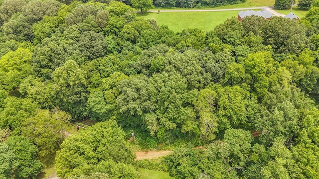0 Salt Ln, Savannah, TN 38372 - photo 11