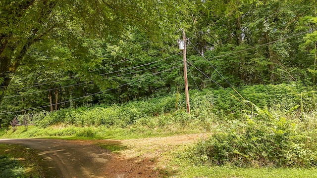 0 Salt Ln, Savannah, TN 38372 - photo 3