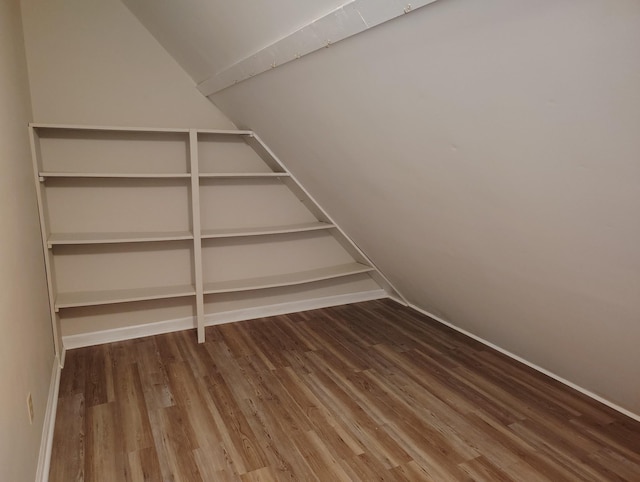631 Mag A Mor Dr, Lafayette, TN 37083 - walk in closet with wood finished floors