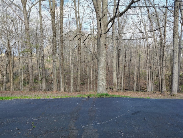 631 Mag A Mor Dr, Lafayette, TN 37083 - view of street with a wooded view