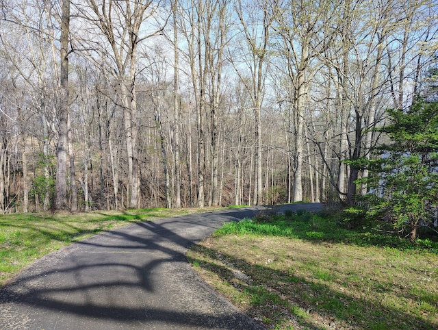 631 Mag A Mor Dr, Lafayette, TN 37083 - view of road with a wooded view